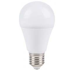 LED Lightsource E27 A60 10W 6500K